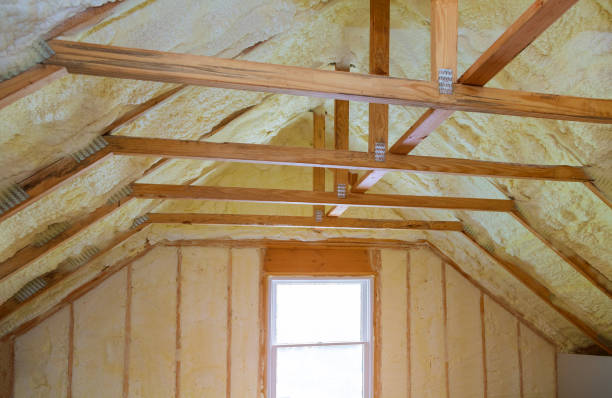 Best Local Insulation Services  in Timpson, TX