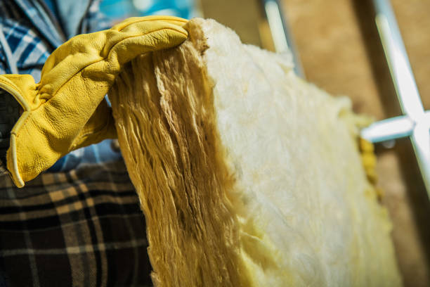 Best Best Insulation Companies  in Timpson, TX