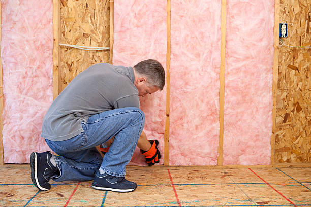 Best Wall Insulation Contractor  in Timpson, TX