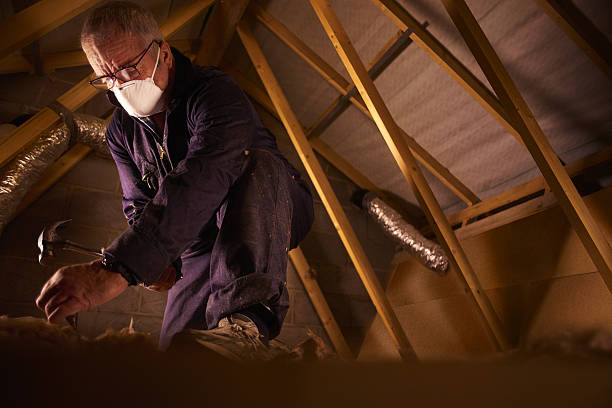 Best Professional Insulation Contractor  in Timpson, TX