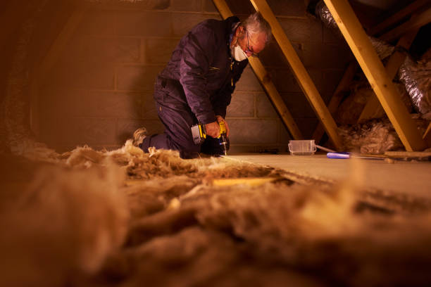 Best Blown-in Insulation  in Timpson, TX
